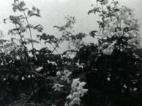 http://www.aurianelegendre.com/files/gimgs/th-39_30_th-30_vlcsnap-2021-07-10-19h14m00s870_v2.png