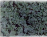 http://www.aurianelegendre.com/files/gimgs/th-39_Capture.jpg