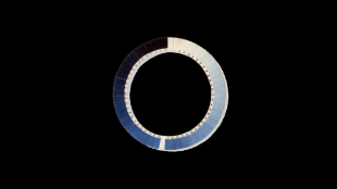 http://www.aurianelegendre.com/files/gimgs/th-43_43_vlcsnap-2023-09-09-12h12m02s588.png