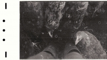 http://www.aurianelegendre.com/files/gimgs/th-50_12.jpg