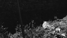 http://www.aurianelegendre.com/files/gimgs/th-50_img182_v2.jpg