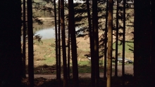 http://www.aurianelegendre.com/files/gimgs/th-50_img309.jpg