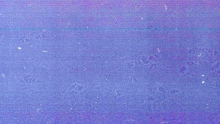 http://www.aurianelegendre.com/files/gimgs/th-50_img363.jpg