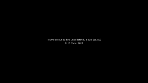 http://www.aurianelegendre.com/files/gimgs/th-8_thumb.jpg